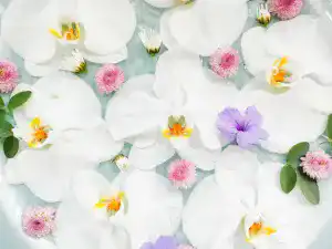周年記念・創立記念