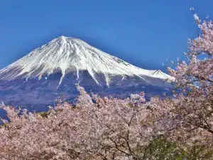 観光地・お土産